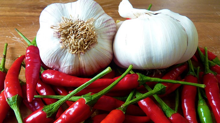 Natural Animal Repellents – Do They Work? - Predator Guard - Predator