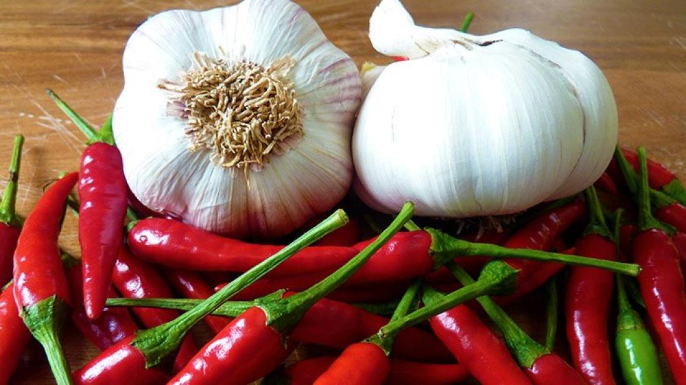 Best Homemade Deer Repellent Recipe Homemade Ftempo