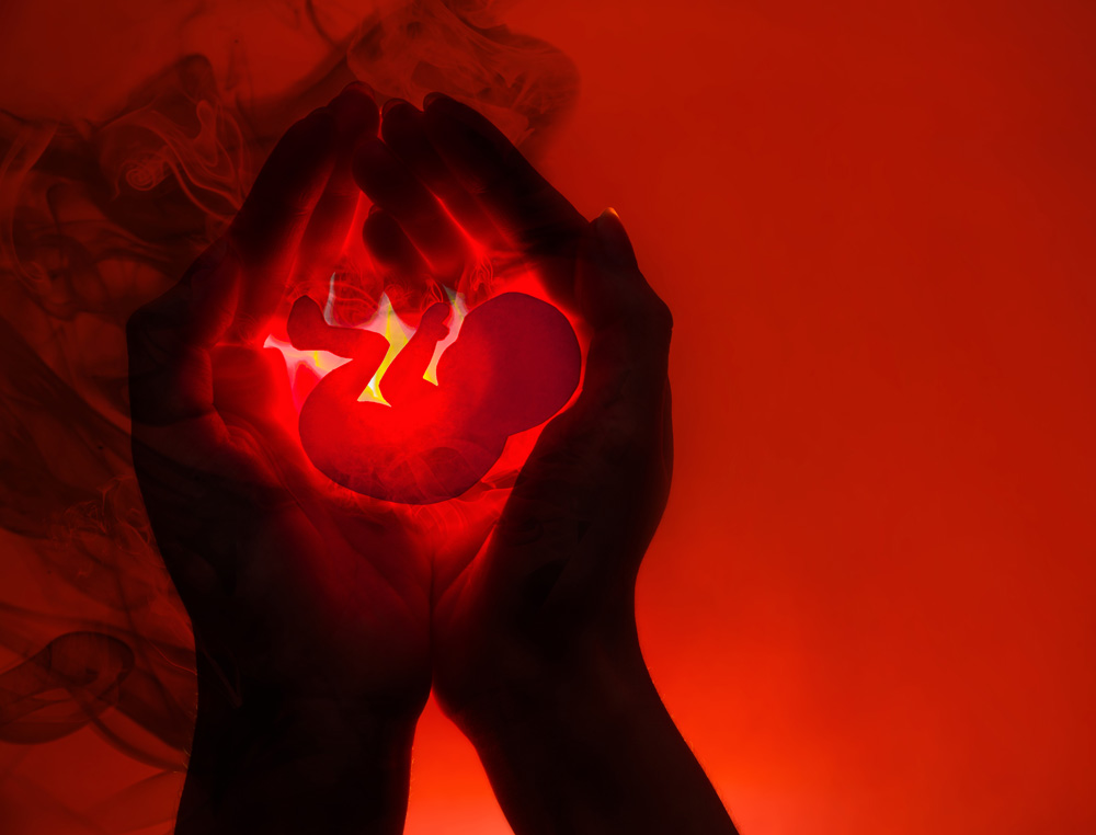 fetus being held in the hands on red background