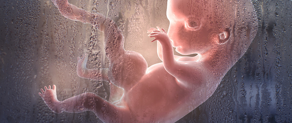 Is Pro-life Despair Concerning Roe v. Wade’s Reversal Justified?