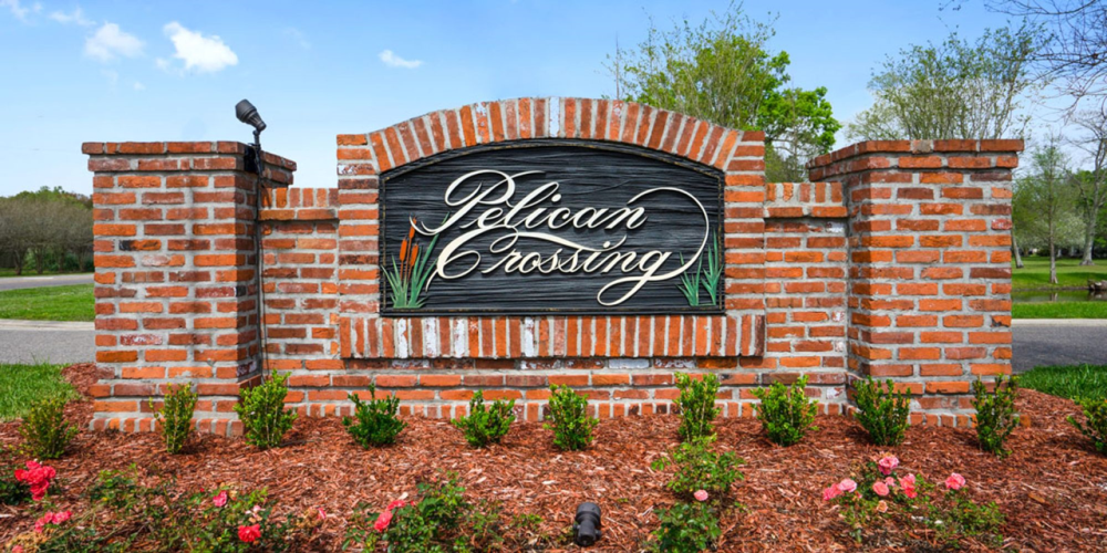 William in Pelican Crossing