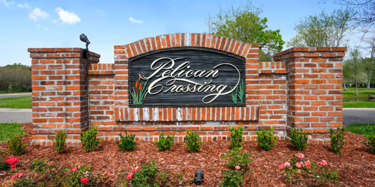 William in Pelican Crossing