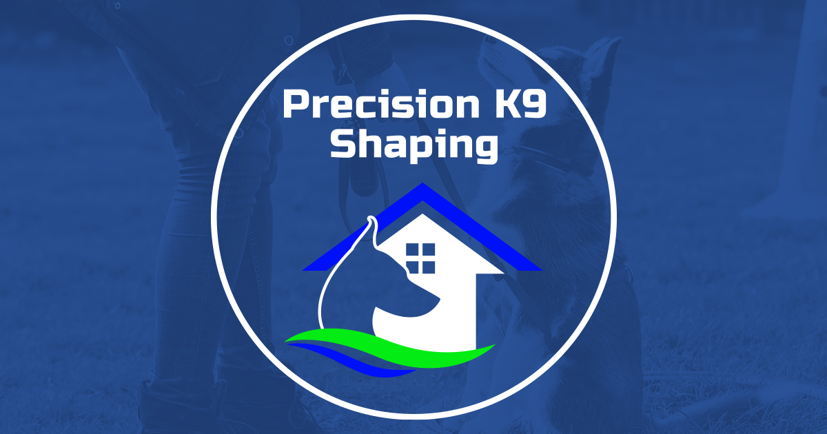 Precision K9 Shaping Dog Training Baton Rouge, Louisiana