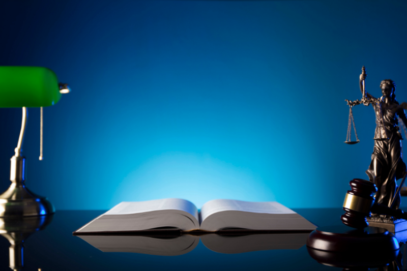 Baton Rouge Law Book