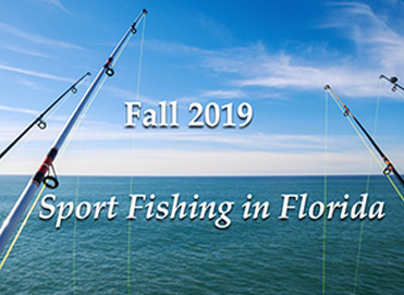 Fall Fishing in South Florida: What’s Biting?