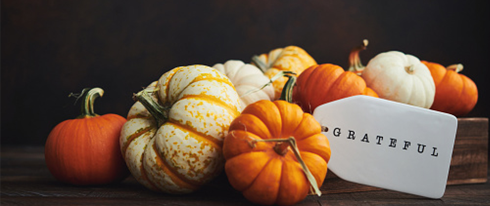 The Recipe for a Happy Thanksgiving Even in the Mess We Are in.