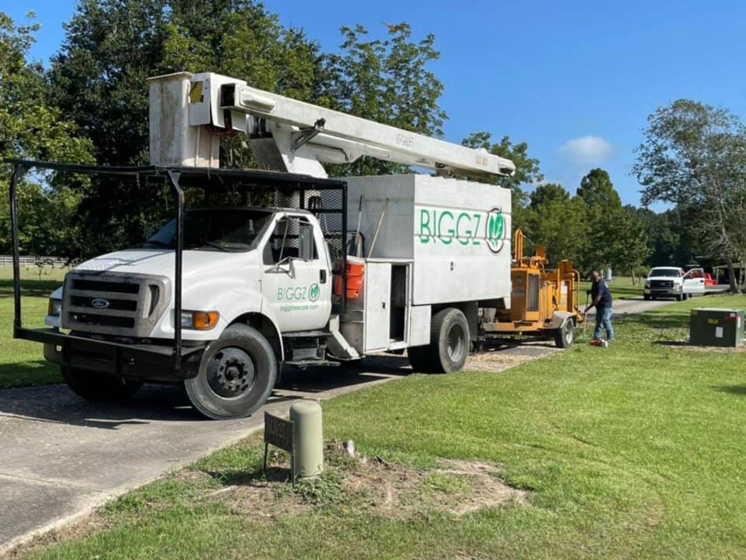 BIGGZ Tree Care gallery 8