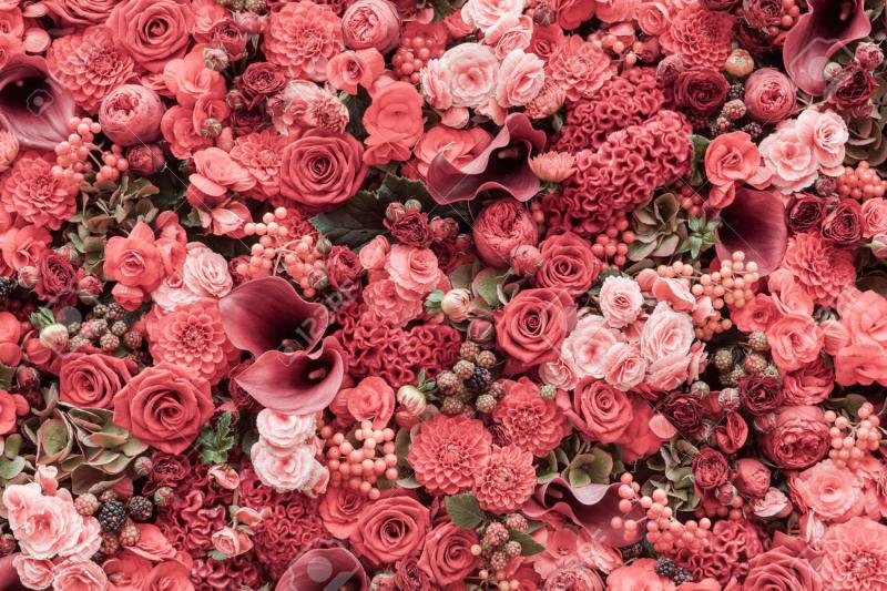 Beautification Ministry