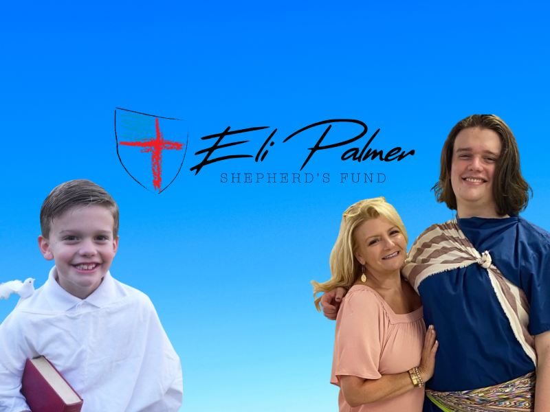 Eli Palmer Shepherd's Fund