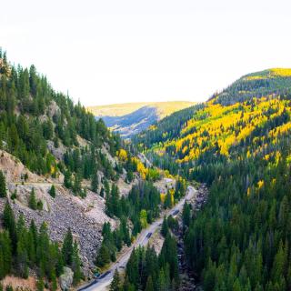 Lush landscape in Colorado