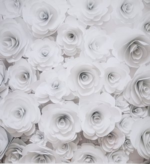 white_flowers