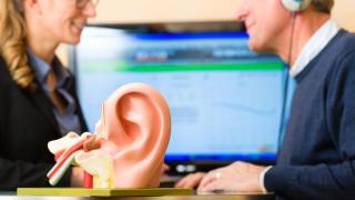 A Man and Woman Explore a Detailed Ear Model at Elite Hearing Center in Florida