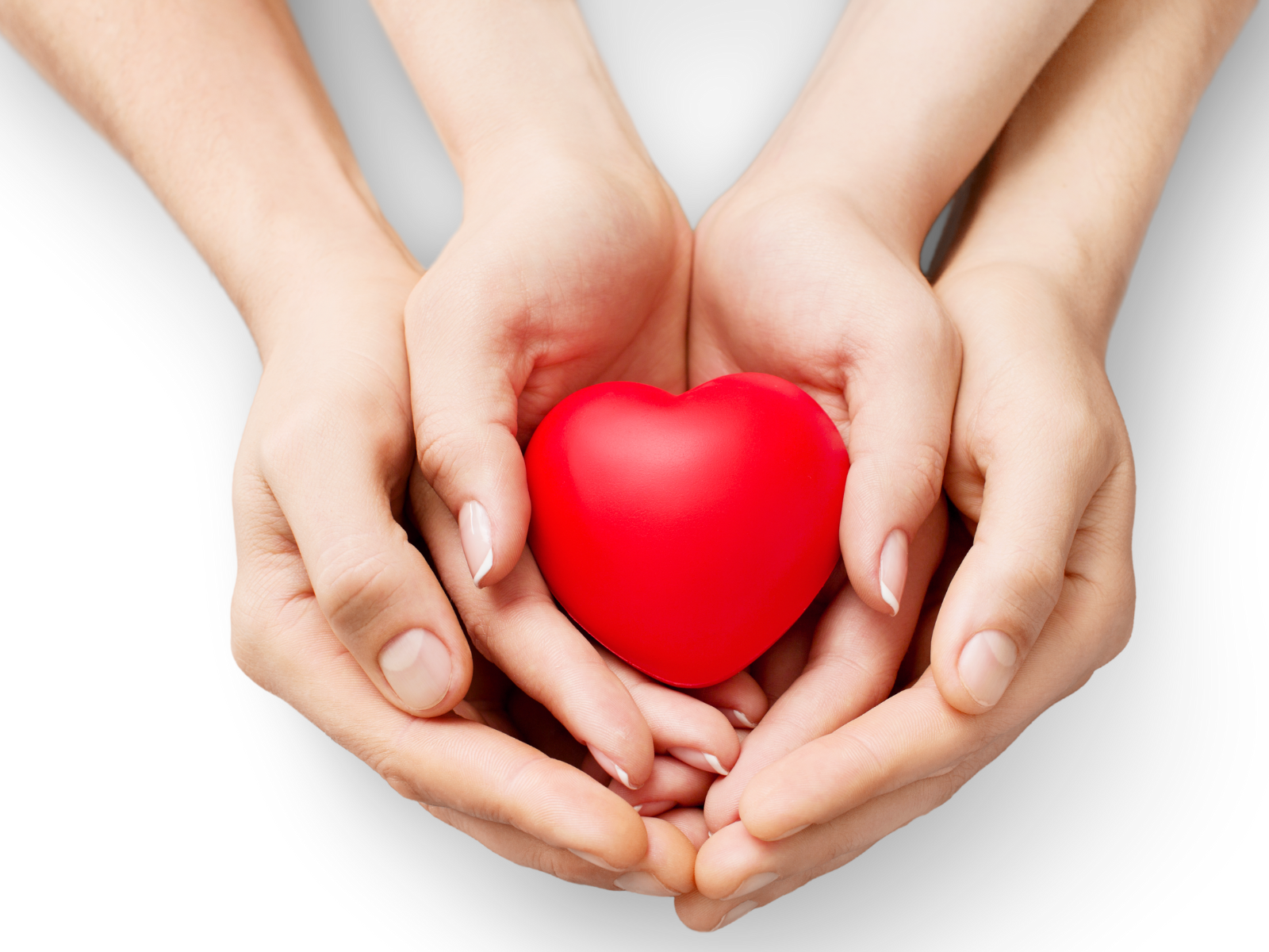 Grief Sharing and Caring 