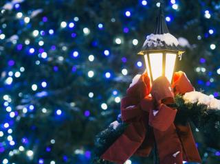 Outdoor lamp post with Christmas lights behind