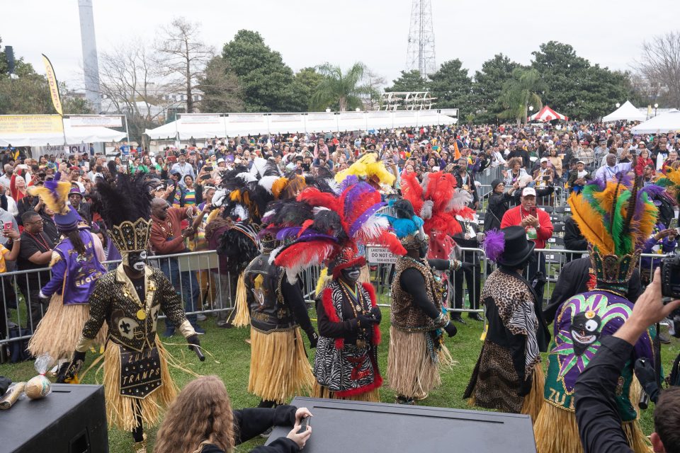 alice-donovan-rouse-yu68fUQDvOI-unsplash