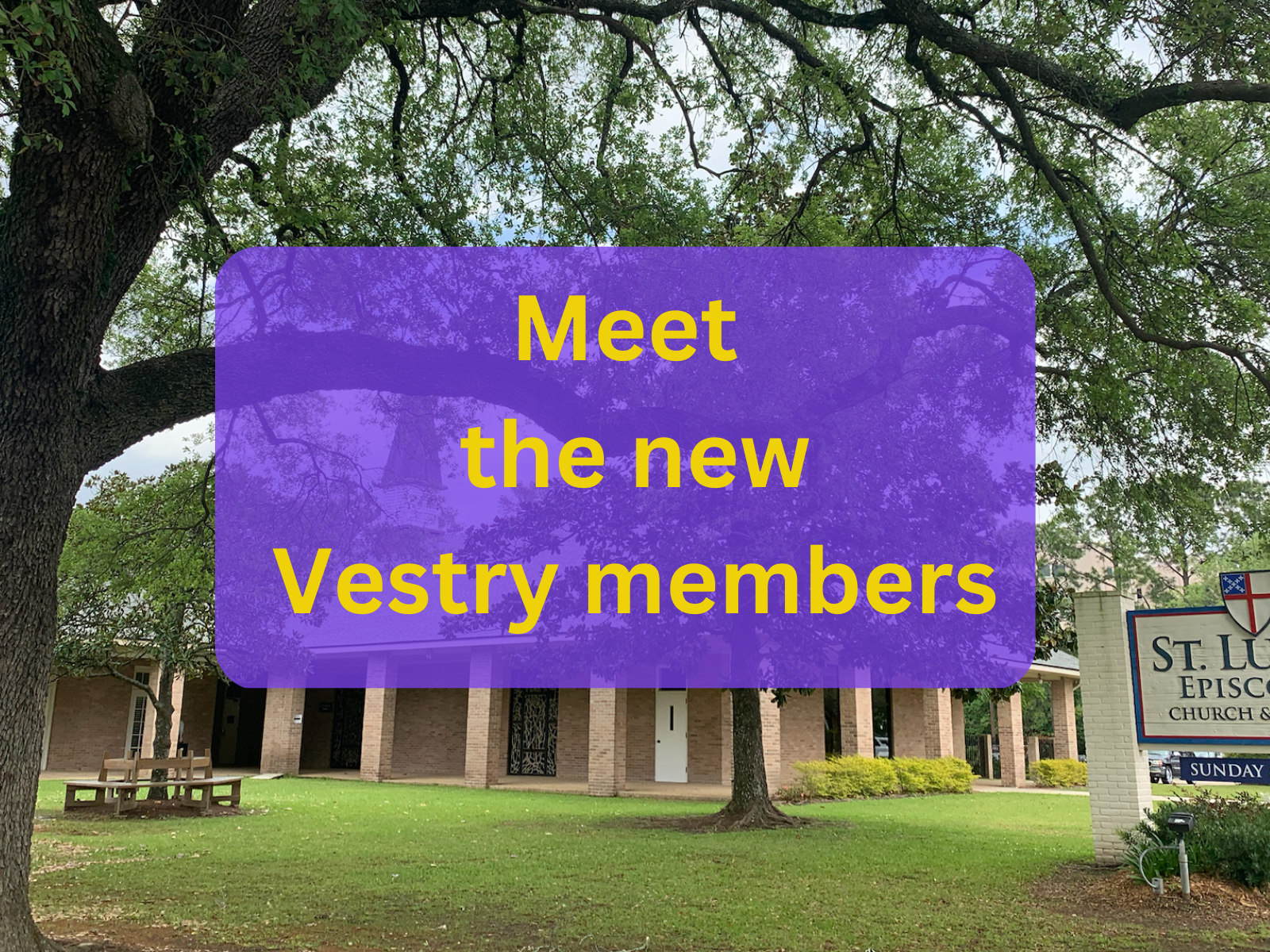 Meet the New Vestry Members