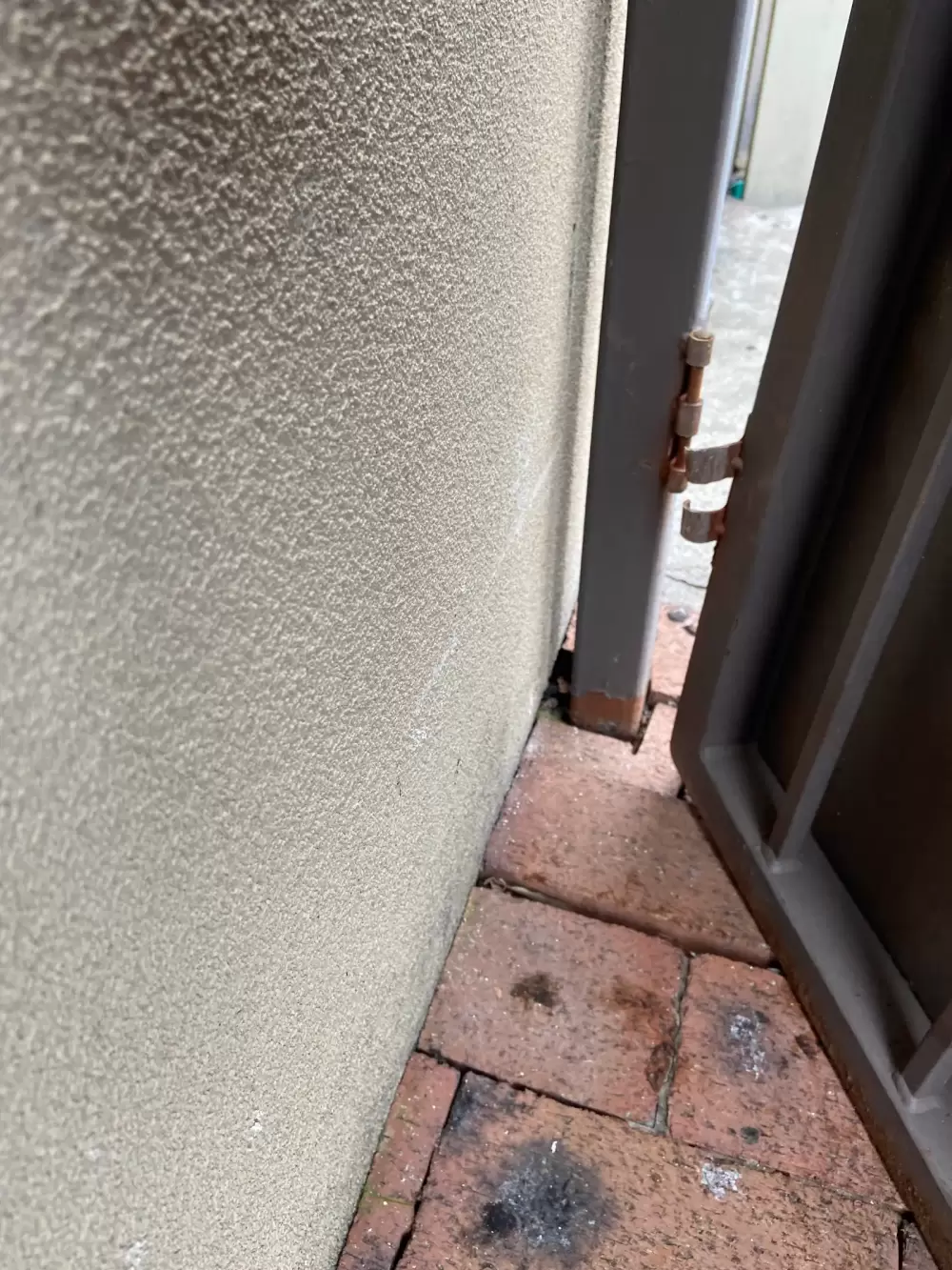 Door Repair - Before Broken Hinge 2