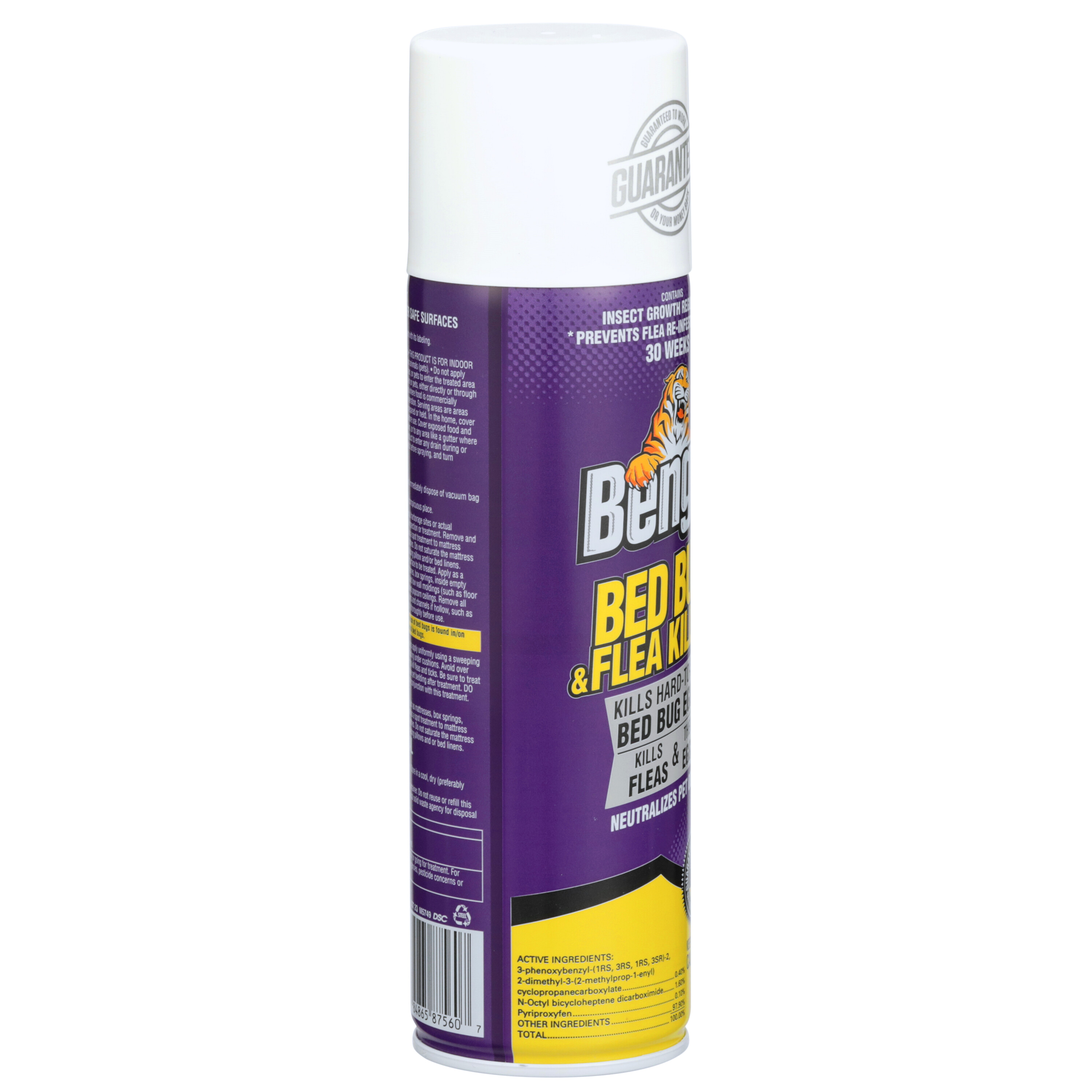 Bed Bug & Flea Killer 2