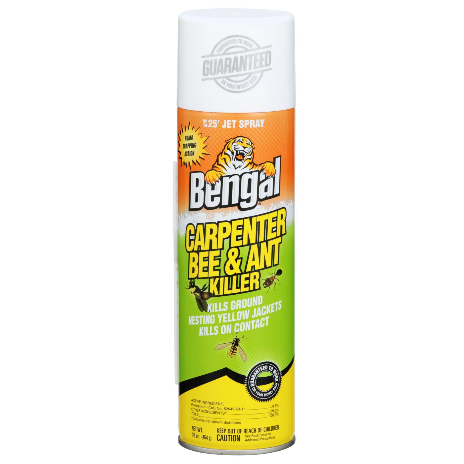 Carpenter Bee & Ant Killer