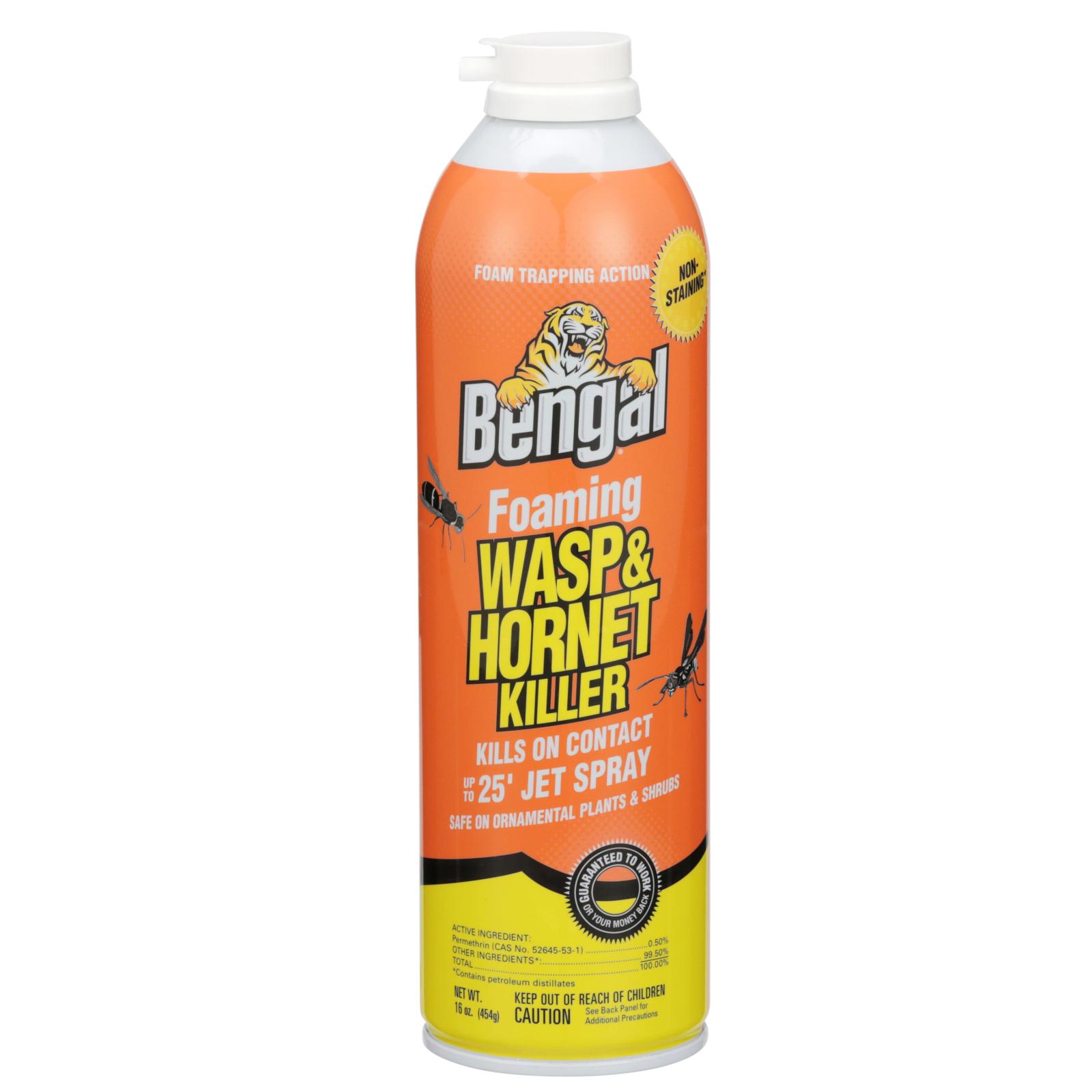 Foaming Wasp & Hornet Killer