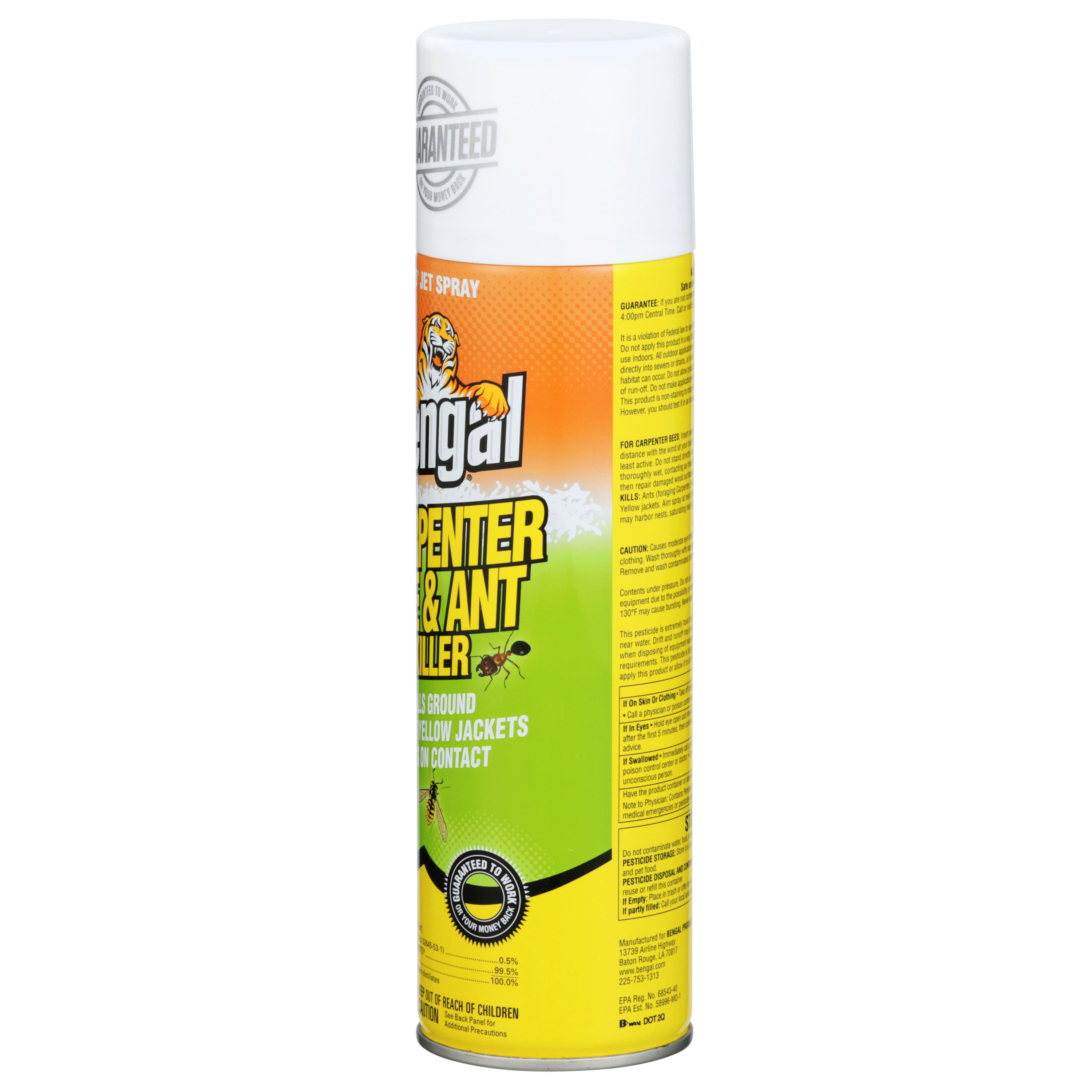 Carpenter Bee & Ant Killer 3