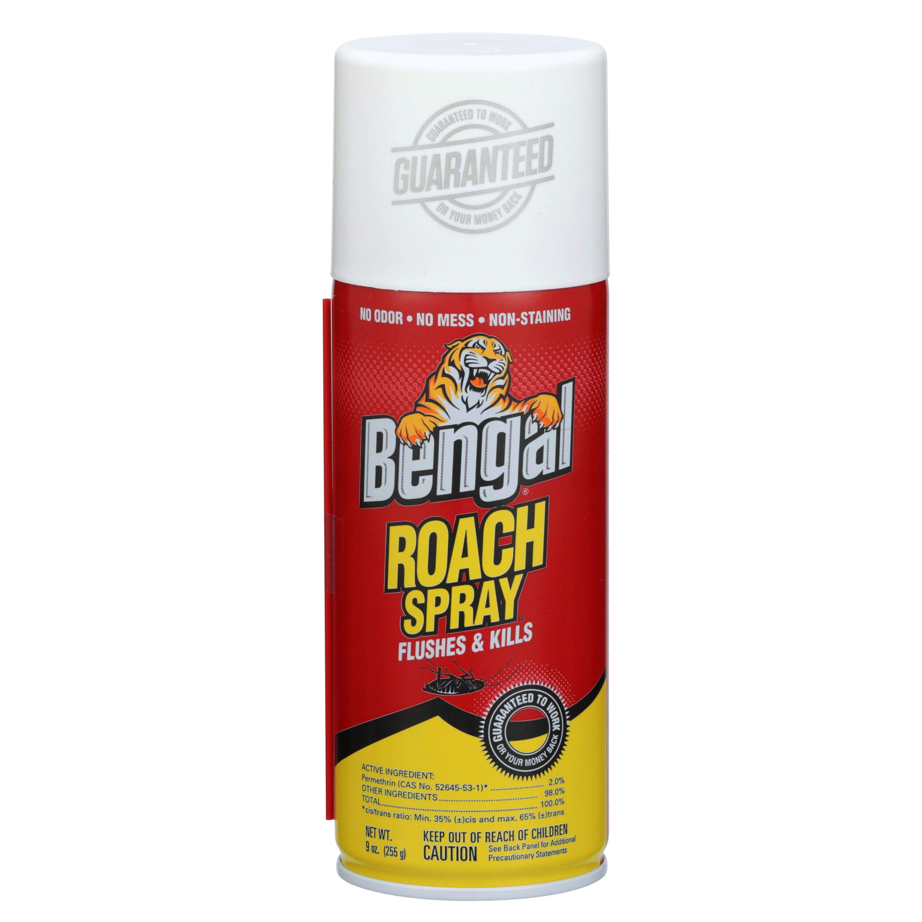 Roach Spray 2