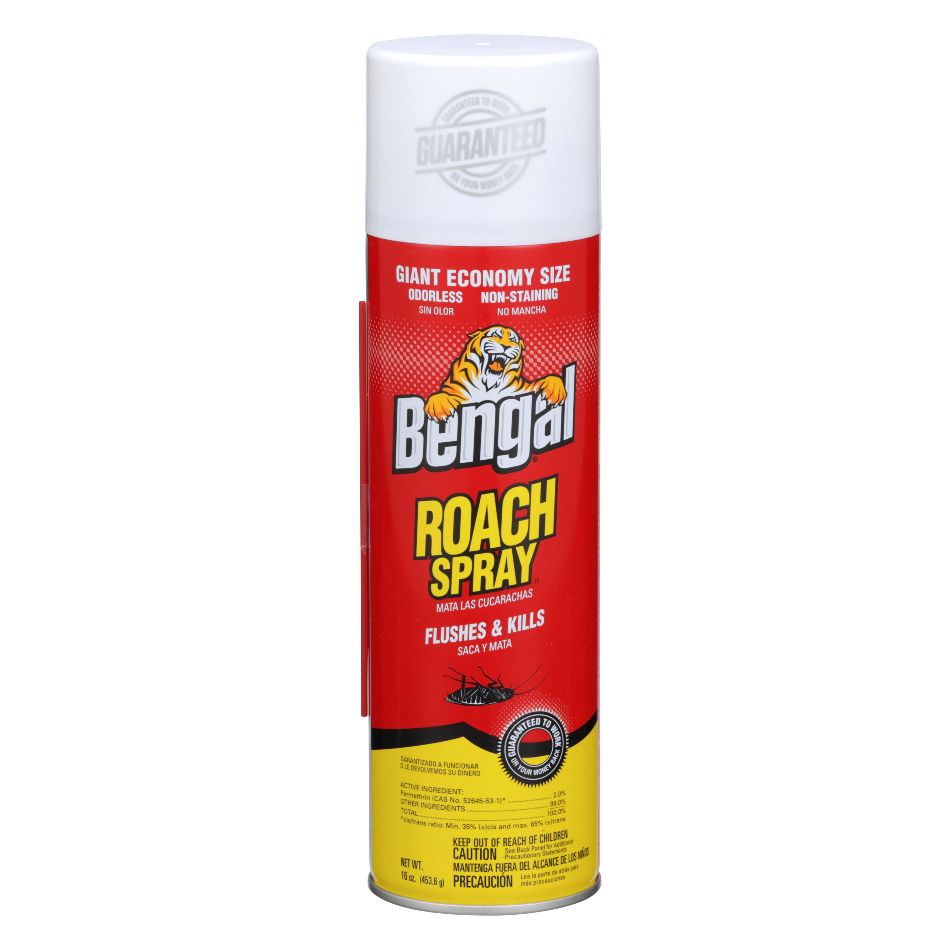 Roach Spray 1