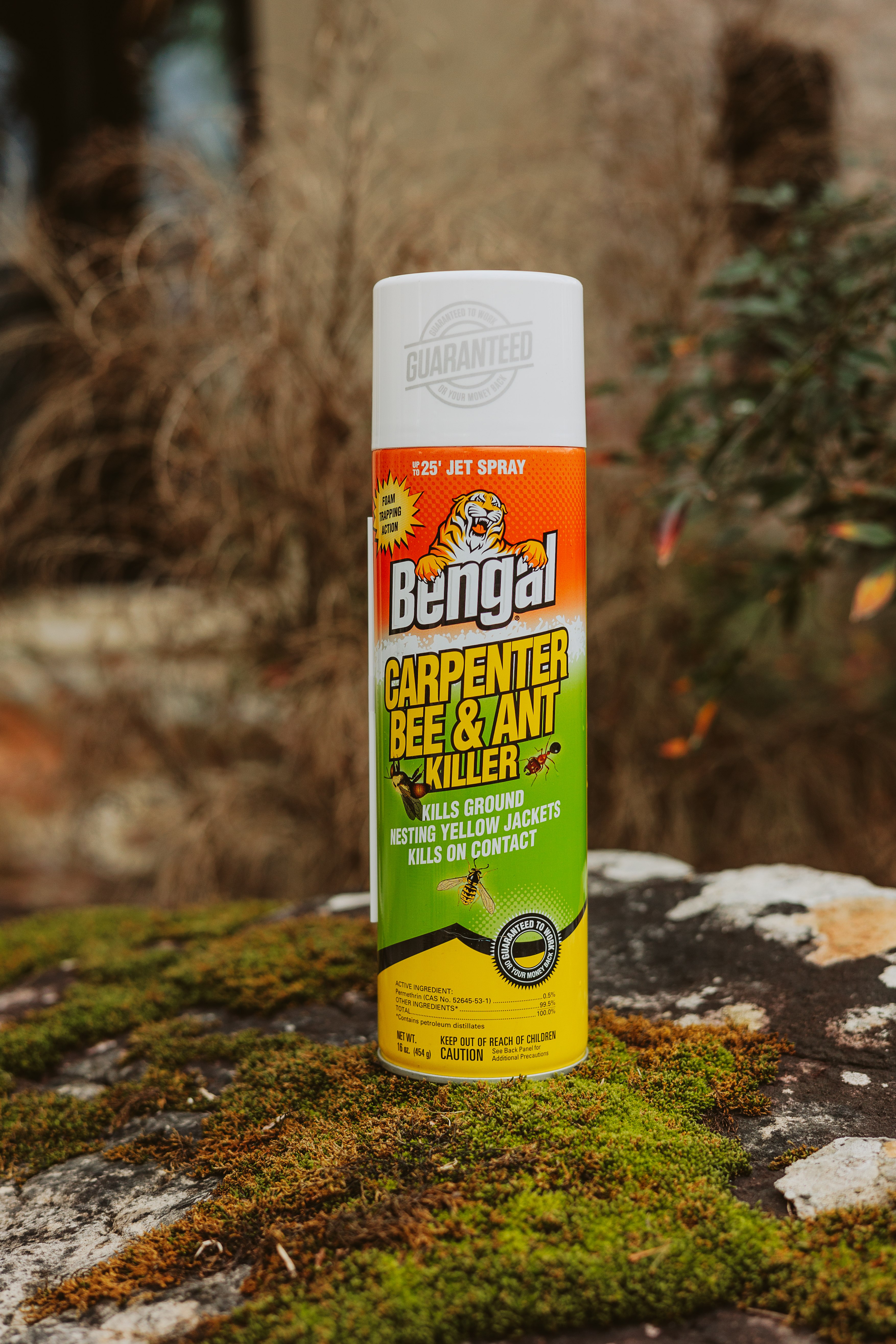 Carpenter Bee & Ant Killer 4