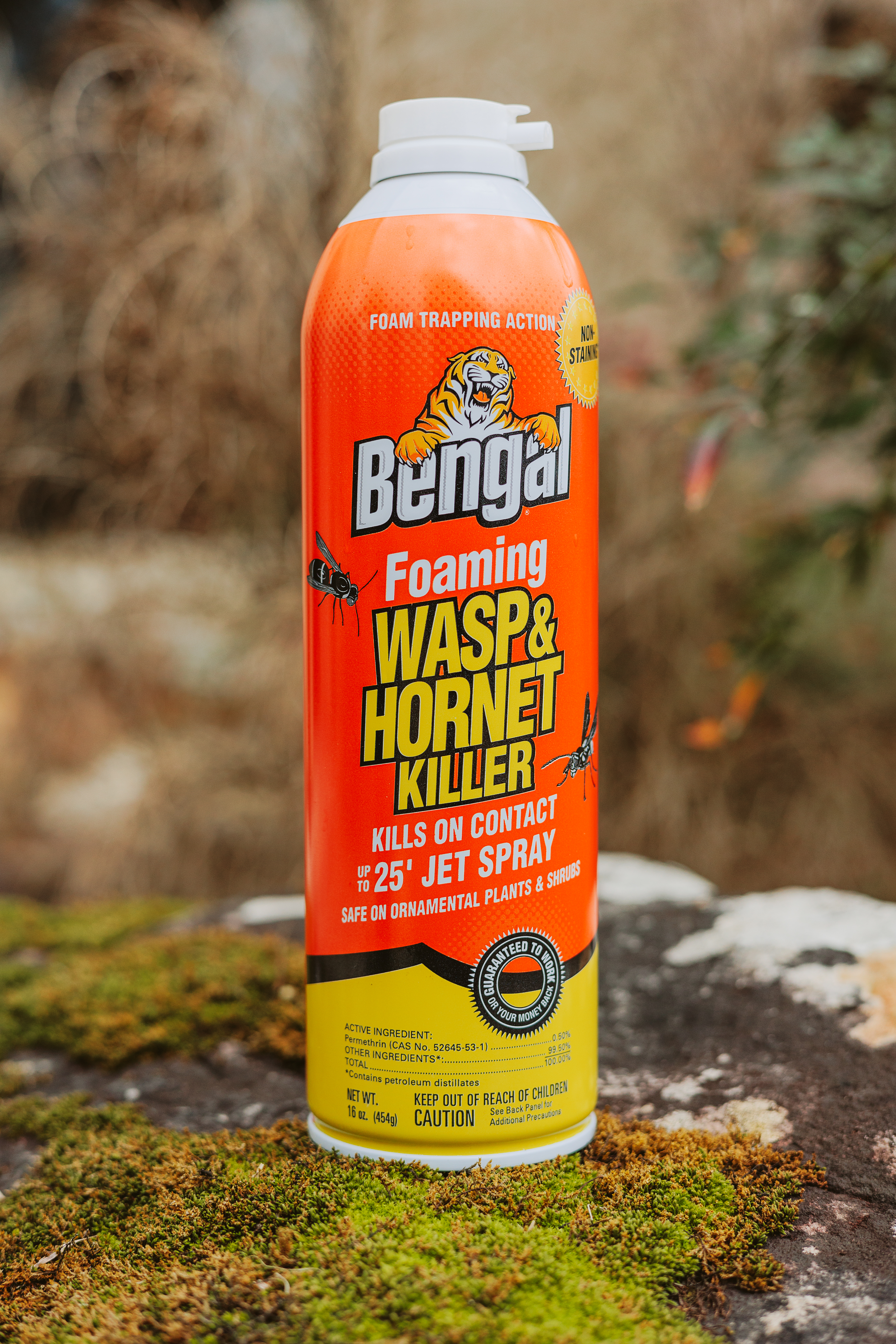 Foaming Wasp & Hornet Killer 4