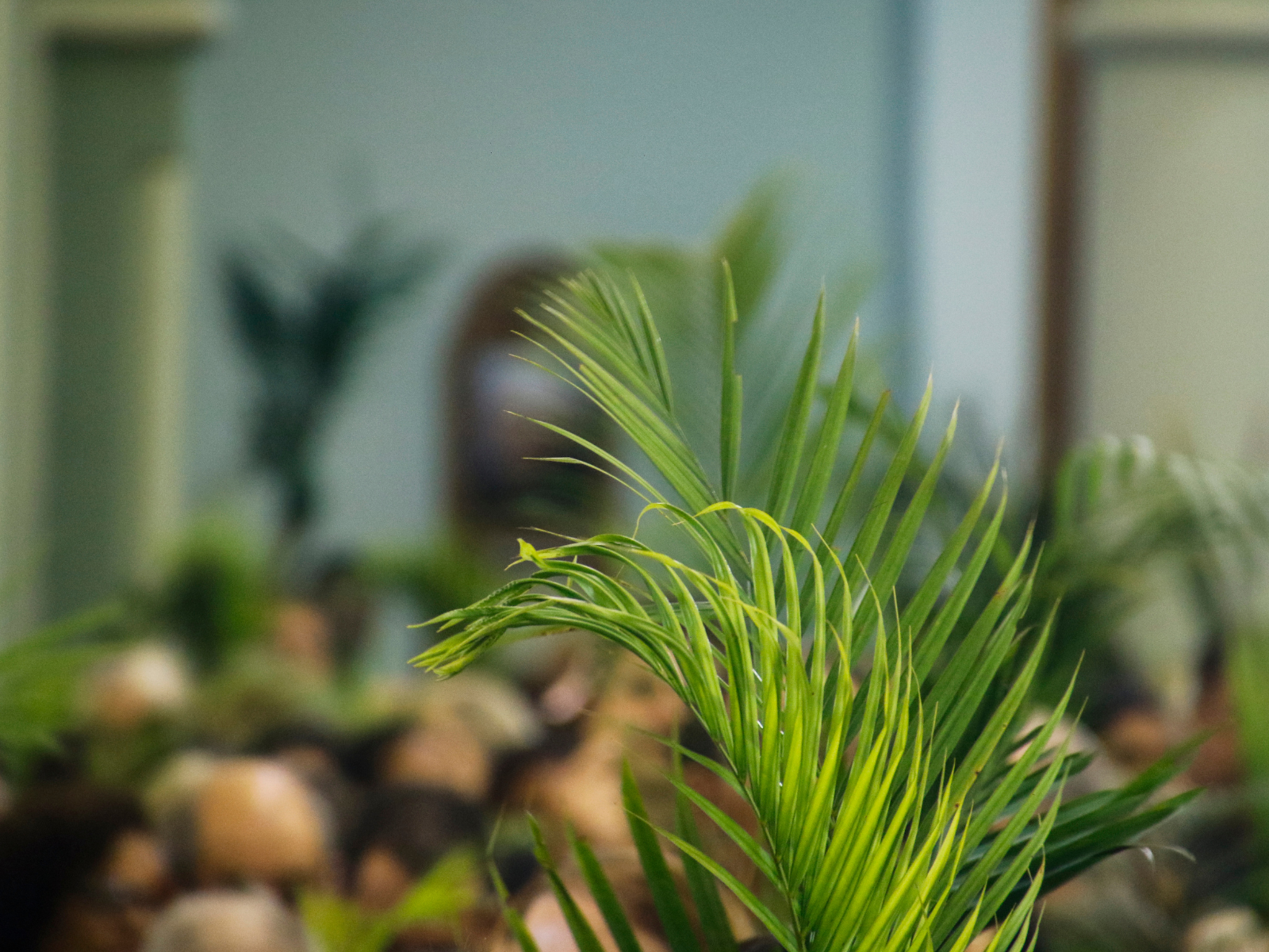 Holy Week Service Times and Details