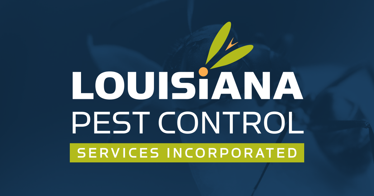 Insect Control Service - Prevention | LA Pest Control