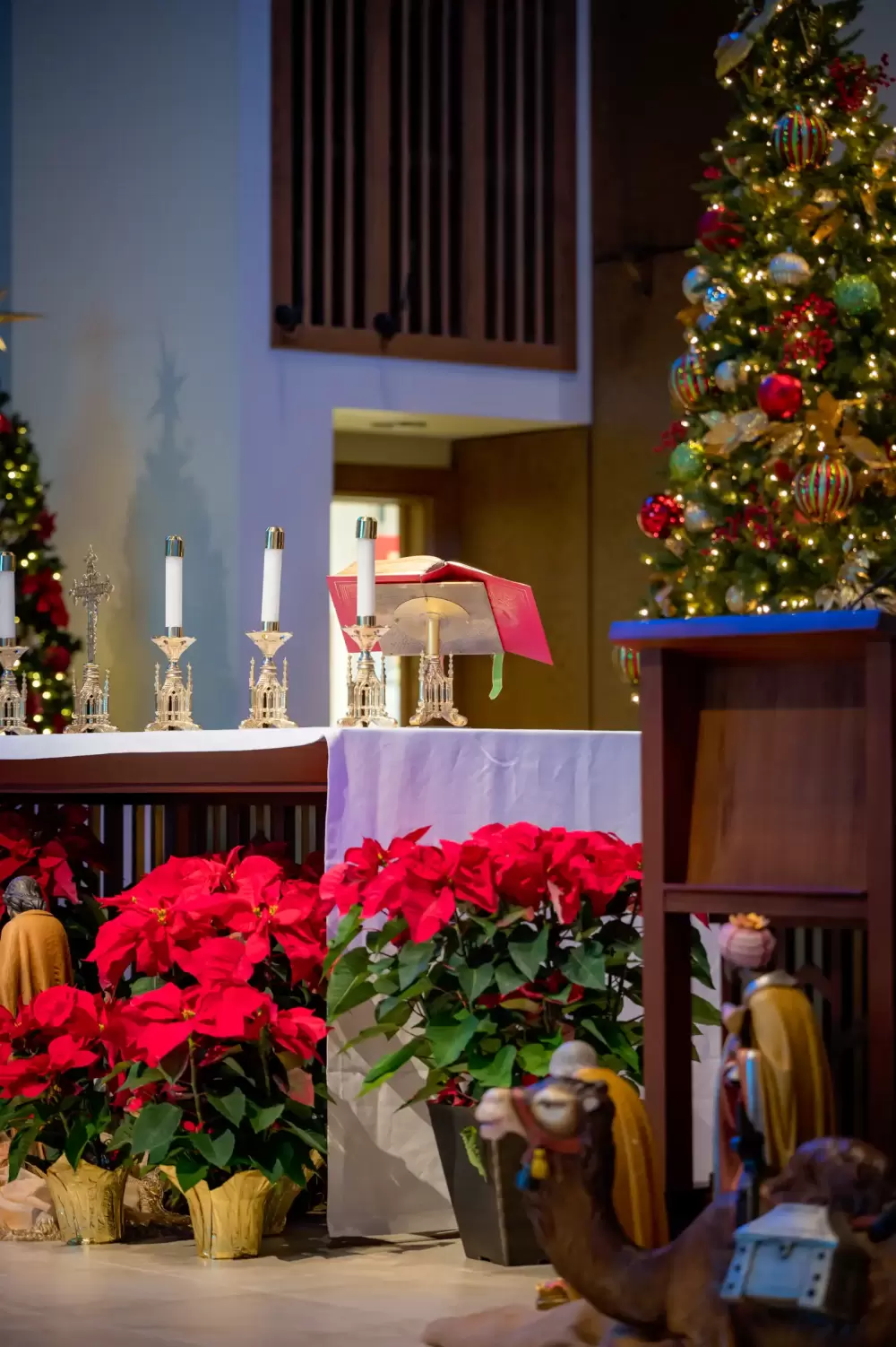 2022 Christmas mass-3