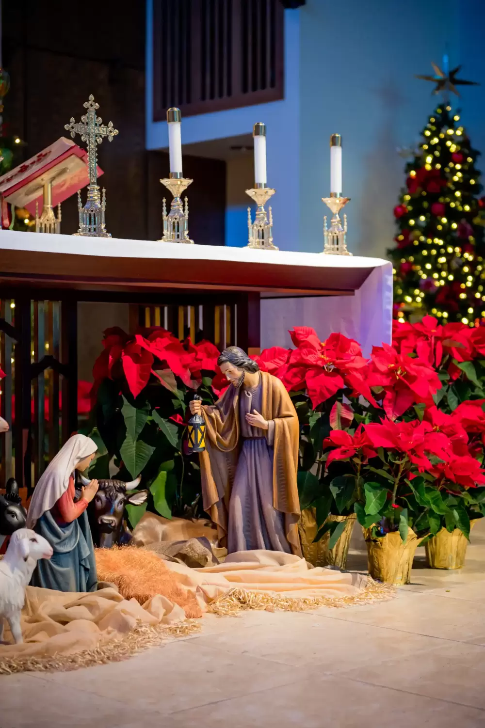 2022 Christmas mass-10