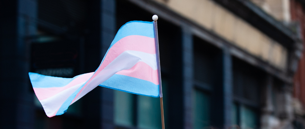 Make Things Simple When Arguing With Those Engaged in Folly