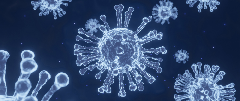 What Are You Most Scared About and Why?