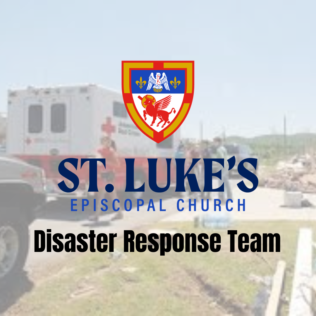 Disaster Response Team