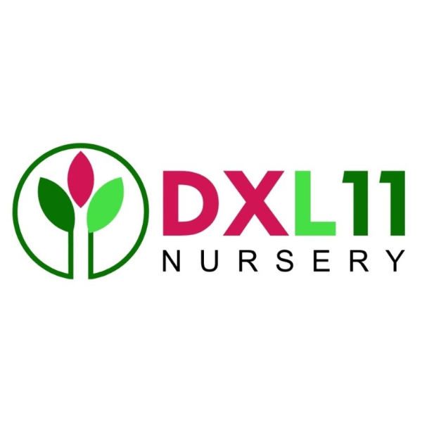 DXL11 Nursery Logo (2 × 2 in) (1)
