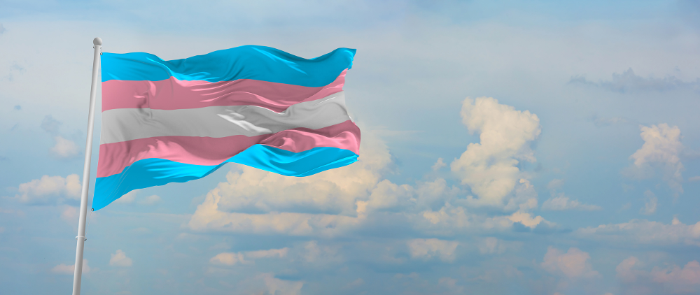 Tennessee Legislator’s Interesting Understanding of Truth and Its Implications