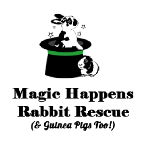 Magic Happens Rabbit Rescue Logo (1)