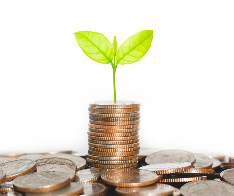 financial well-being, financial health, financial freedom