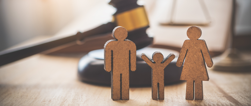 My Thoughts on Federal Parental Rights Legislation: #%*&@!!!