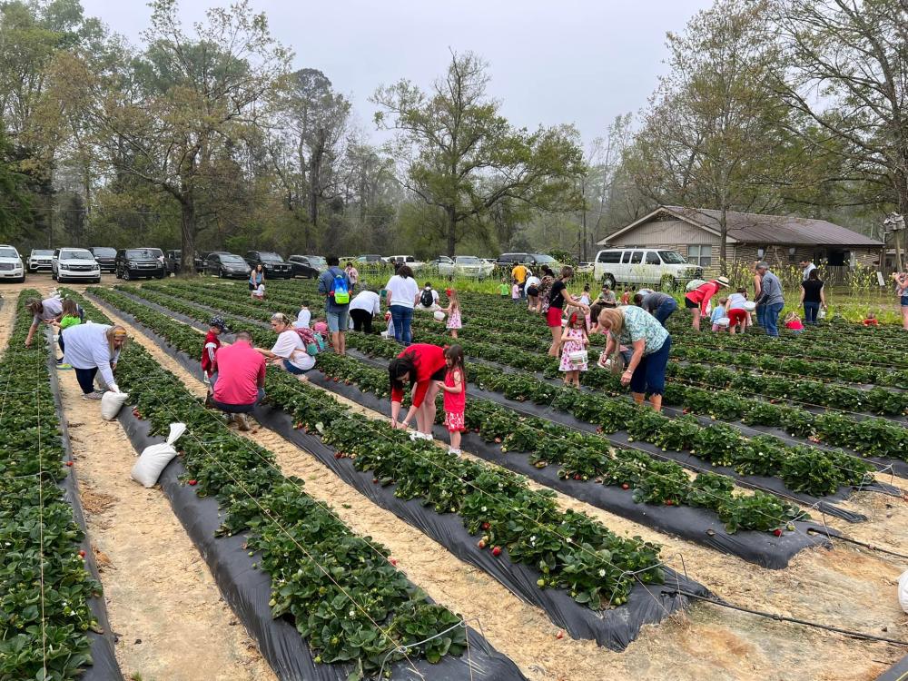 277360006_10227416835505159_2419902276146527535_n