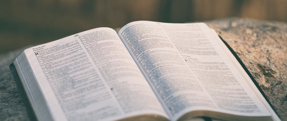 My Long Lesson in Political Folly