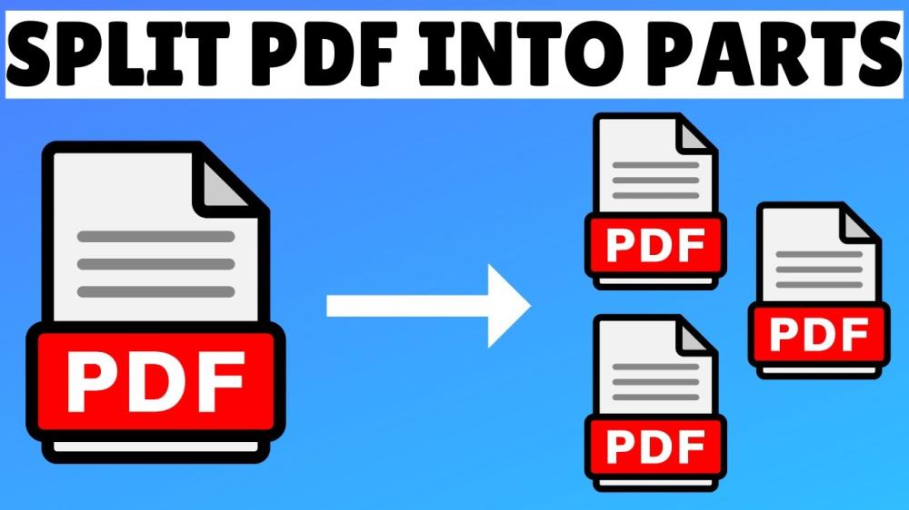 Vista's Page Splitter