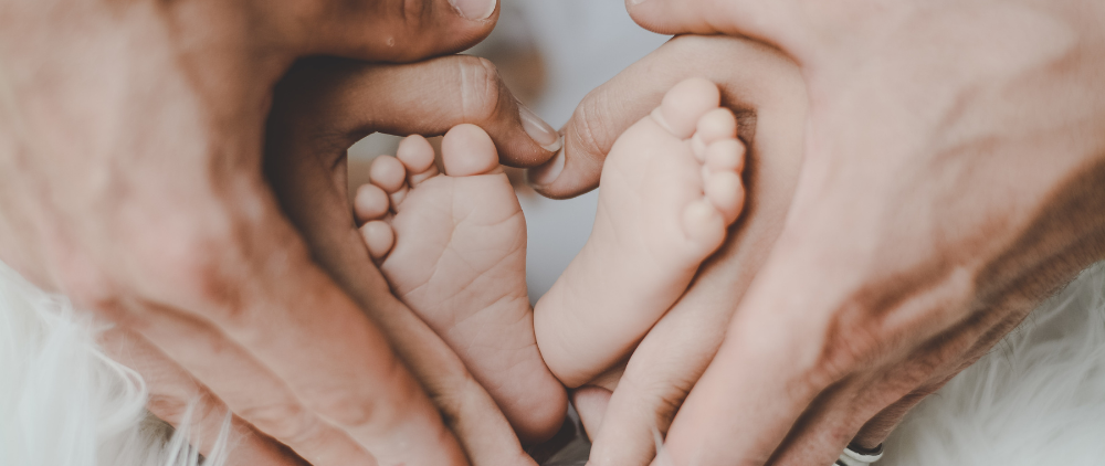 What Seems to Unite Donald Trump, Kari Lake, and Pro-Life Abolitionists and Incrementalists