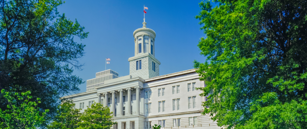 Free at Last to Speak Plainly About Our Legislature