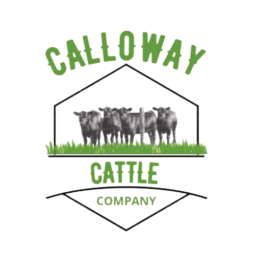 Calloway Cattle Co Logo