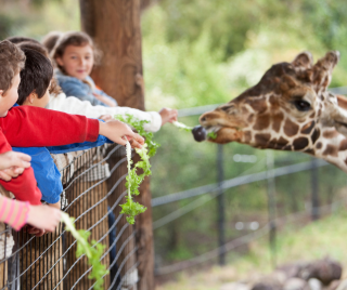 DCHC, Tulane and Louisiana’s WIC Services Celebrate 50 Years