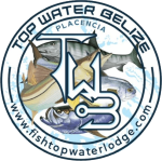 Top Water Charters Belize Logo