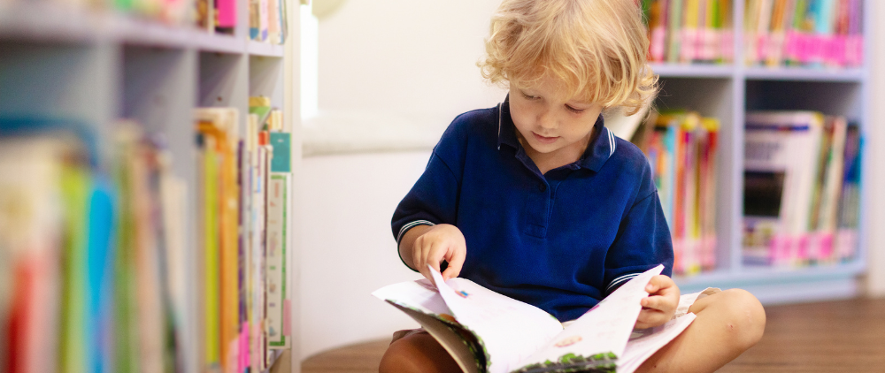 Accountability is Coming: Tennessee Public Libraries Ordered to Undergo Age Appropriateness Book Review